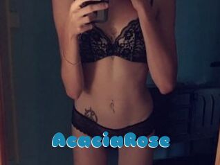 AcaciaRose