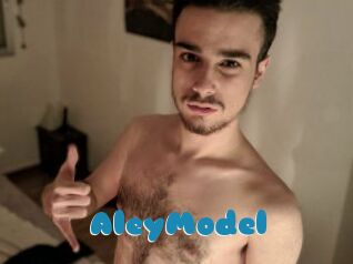 AleyModel