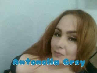 Antonella_Grey