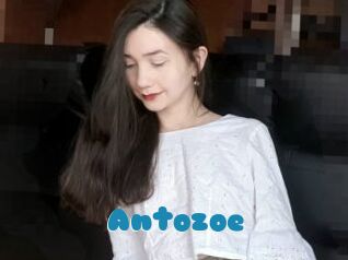 Antozoe