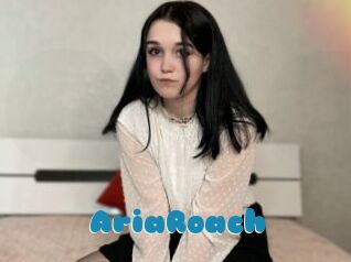 AriaRoach