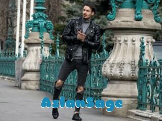 AslanSage
