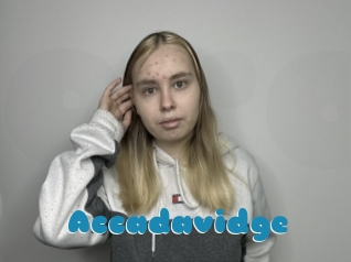 Accadavidge