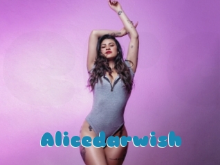 Alicedarwish