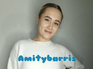 Amitybarris