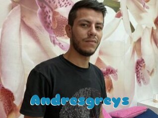 Andresgreys