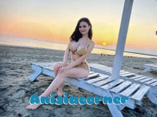 Anisiacorner