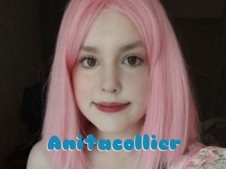 Anitacollier