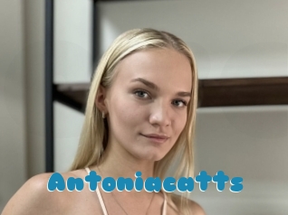 Antoniacatts