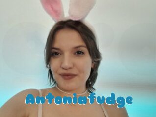 Antoniafudge