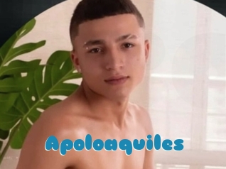 Apoloaquiles