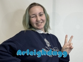 Arleighdagg