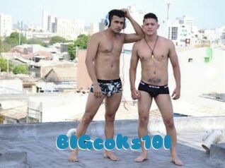BIGcoks10I