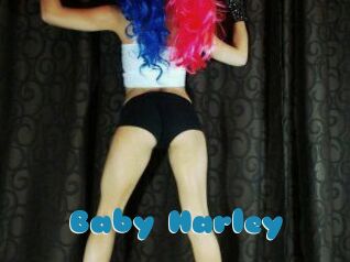 Baby_Harley