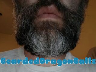 BeardedDragonBallz