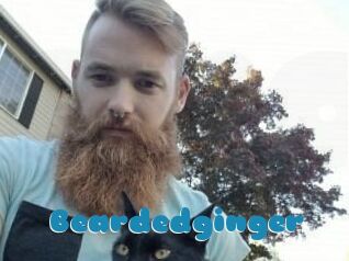 Beardedginger