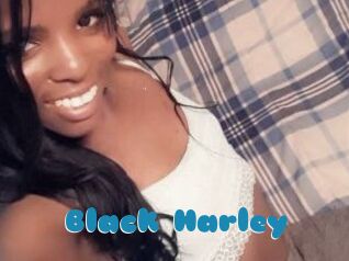 Black_Harley