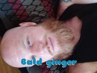 Bald_ginger