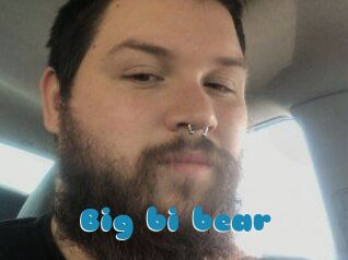 Big_bi_bear