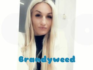 Brandyweed