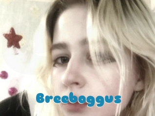 Breeboggus