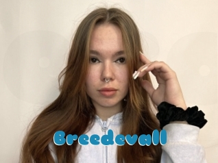 Breedevall