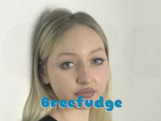 Breefudge