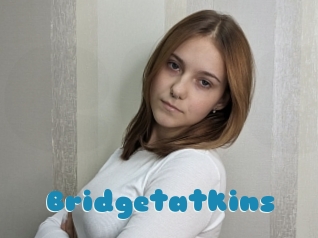 Bridgetatkins