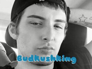 Budkushking