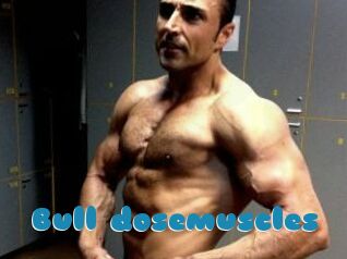 Bull_dosemuscles