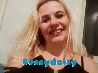 Bussydaisy