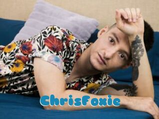 ChrisFoxie Erotik Chat