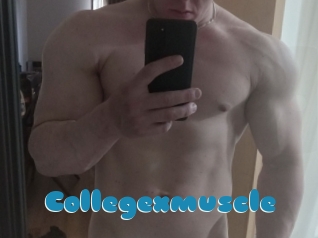 Collegexmuscle