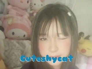 Cuteshycat