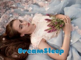 DreamSleep