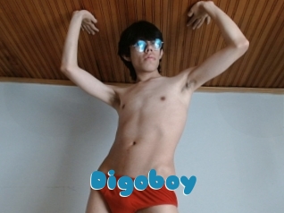 Digoboy