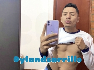 Dylandcarrillo