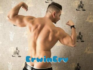 ErwinErv
