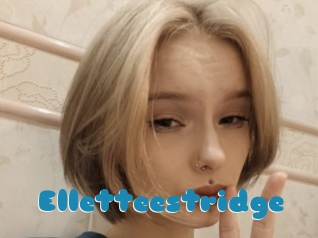 Elletteestridge