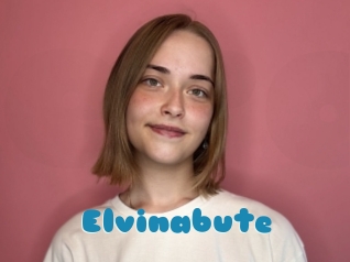 Elvinabute