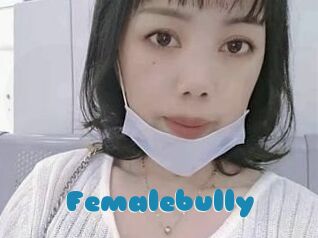 Femalebully