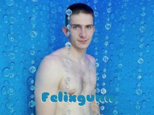 Felixgunn