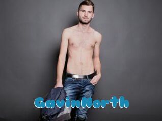 GavinNorth