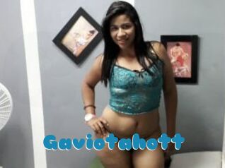 Gaviotahott