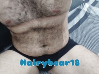 Hairybear18