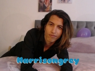 Harrisongrey