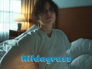 Hildagrass