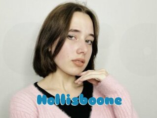 Hollisboone