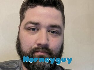 Horneyguy