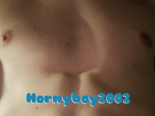 Hornyboy2002